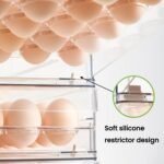 Egg Storage Container ( 24-egg) - Image 2