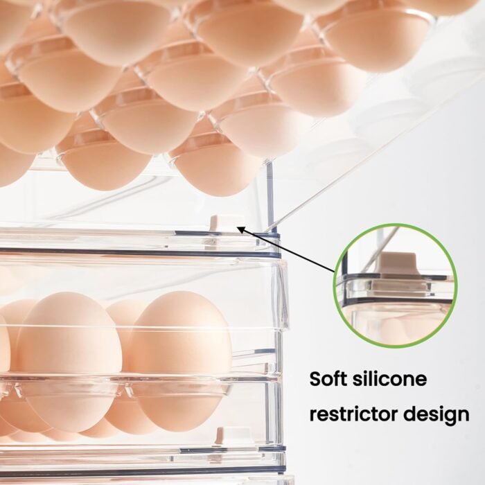 Egg Storage Container ( 24-egg) - Image 2