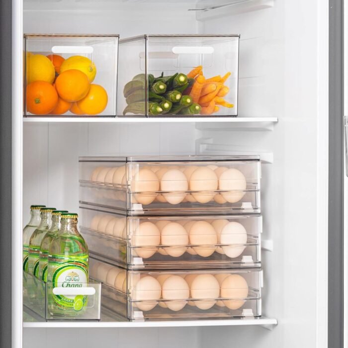 Egg Storage Container ( 24-egg) - Image 3