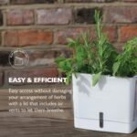 Herb Keeper (Fresh Herb Storage) - Image 4