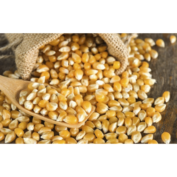 Cinema-Style Popcorn Kernels ( 500g) - Image 1